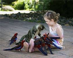 Image result for cat and animals