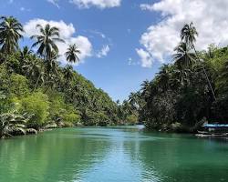 Loboc River, Bohol Island的圖片