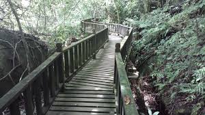 Image result for Penang National Park