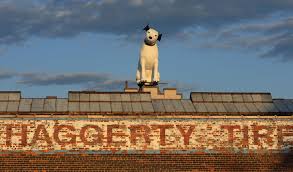 Image result for nipper albany