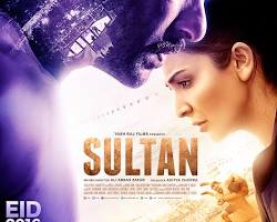 Image of Sultan (2016) Movie Poster 2