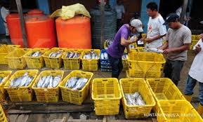 Image result for PT Dharma Samudera Fishing Industries Tbk