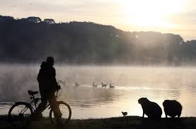 Curitiba e outros cinco municípios registram temperatura mais baixa de 2026