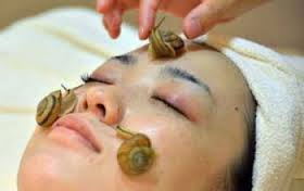 images?qtbnANd9GcTtOEQOFgDFVApN7yWVO6 a11MMTrm5q0cHVQn eQWiz4Beon2iBw