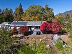 Image result for montana del oro