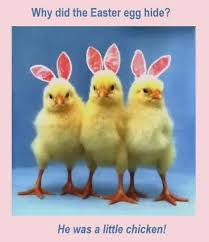 Best Funny Easter Quotes with Highest Resolution Wallpapers of ... via Relatably.com