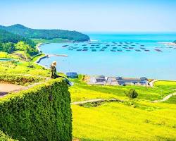 청산도 슬로길 해안산책로, AI로 생성