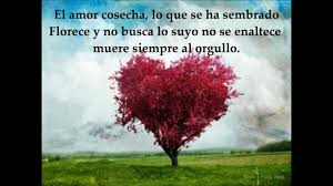Resultado de imagen de verdadero amor