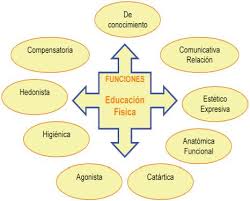 Resultado de imagen para definicion de funciograma deportivo
