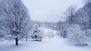 هشدار بارش‌های سنگین در ۵ استان