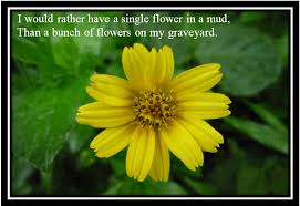 Photos with quotes: Flowers beauty via Relatably.com