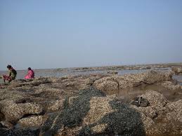Image result for daman and diu images