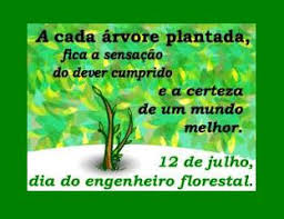 Resultado de imagem para dia do engenheiro florestal