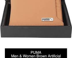 Puma RFID Blocking Card Holder for men in India