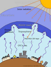 Image result for ozone layer depletion