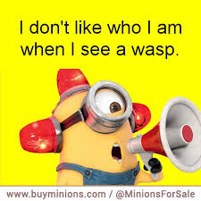 WASPS Quotes Like Success via Relatably.com