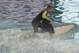 Resultado de imagen de imagenes de loro parque