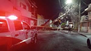 Árboles caídos, barda caída y colonias sin luz; vientos de hasta 50 km/h azotan León