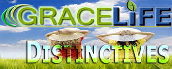 Image result for distinctives