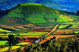 Image result for andhra pradesh image
