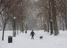 Remote Learning Pittsburgh Schools