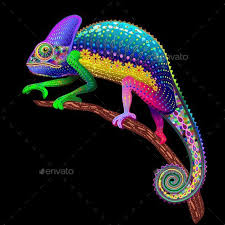 Image result for colorful chameleon