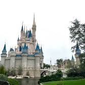 Walt Disney World® Resort