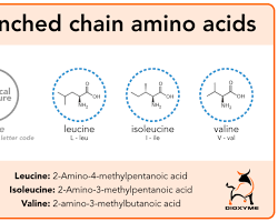 Image of BranchedChain Amino Acids (BCAAs)