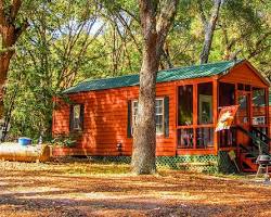 Image of Florida national forest RV campsite