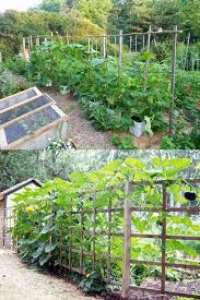 Agricultural know-how - A Collection Of 18 Raised Garden Beds That Will Blow Your Mind | Facebook