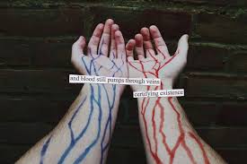 All sizes | through veins | Flickr - Photo Sharing! via Relatably.com