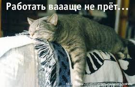images?q=tbn:ANd9GcTuZdnBKHRPQvVOv8QWJLjsoLlAUKMxv1utg15Hjvsv1yR-OAep