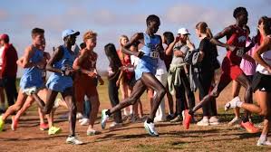 NCAA Cross Country Championships: Tulane and Texas A&M's Results