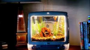 Résultat de recherche d'images pour "mac aquarium"