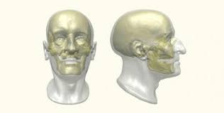 Volto e profilo di Dante elaborati al computer in base alla ricostruzione del cranio fatta dall&#39;antropologo Fabio Frassetto ... - cronaca95275021101084944_big