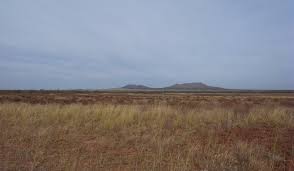 Image result for texas mountains