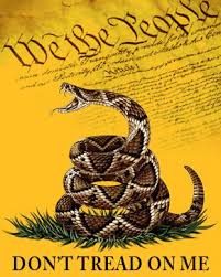 Image result for gadsden flag