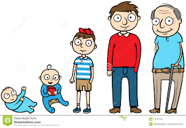 Resultado de imagen de LIFE STAGES