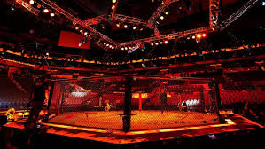News source: UFC.com