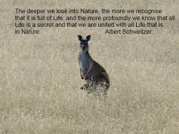 wildlife | Eremophila&#39;s Musings via Relatably.com
