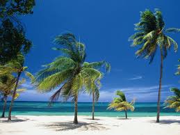 Пальмы Варадеро