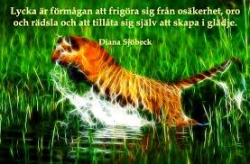 Bildresultat för lycka och harmoni