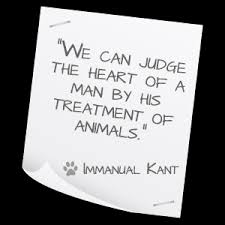 Pet Quotes via Relatably.com