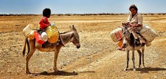 Image result for wayuu
