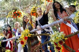 Image result for miss universe 2017