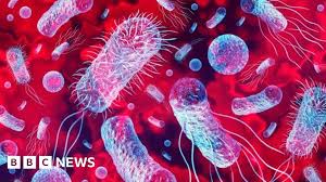 BBC - News update