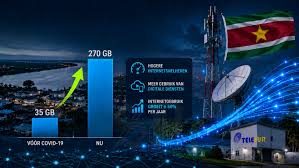 How Suriname’s 270GB Data Boom Is Fueling a Digital War Over Amazon’s Palmentuin Market