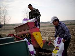 Iran War and Global Food Crisis: Impact on Fertilizer and Food Security