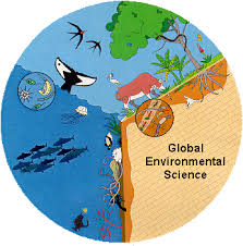 Image result for global environment