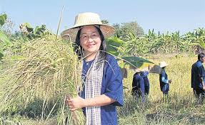 Image result for images of rural bangkok farmers